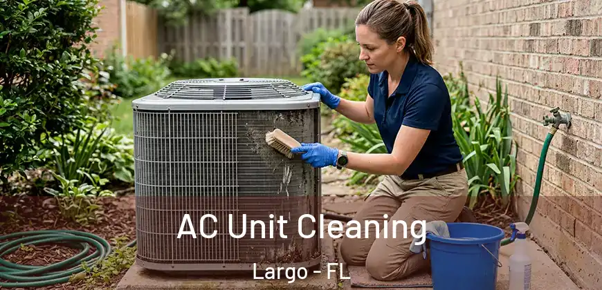 AC Unit Cleaning Largo - FL